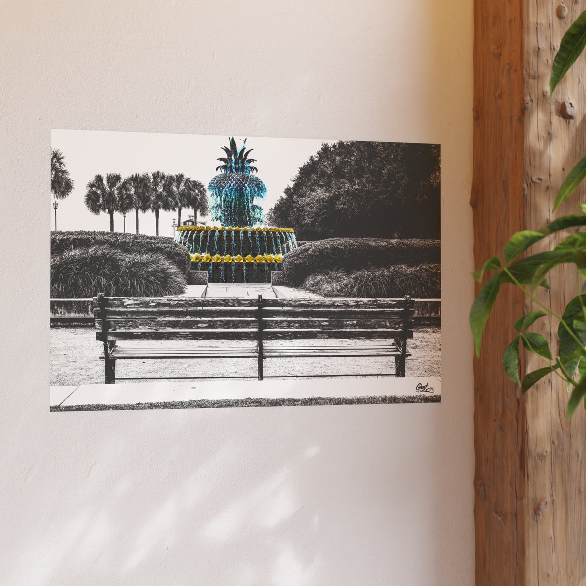 Charleston Series | The Pineapple of Peace
