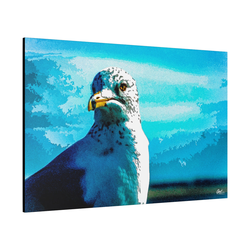 Carolina Seagull canvas, angled side view: close-up seagull with a sharp eye and yellow beak on bright blue