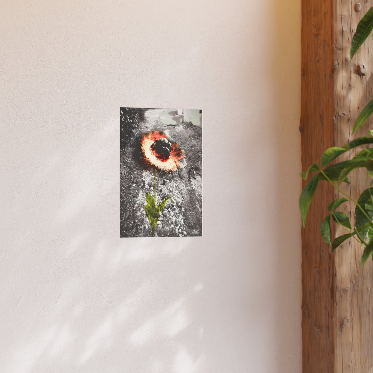 Charleston Series | Meteor Flower
