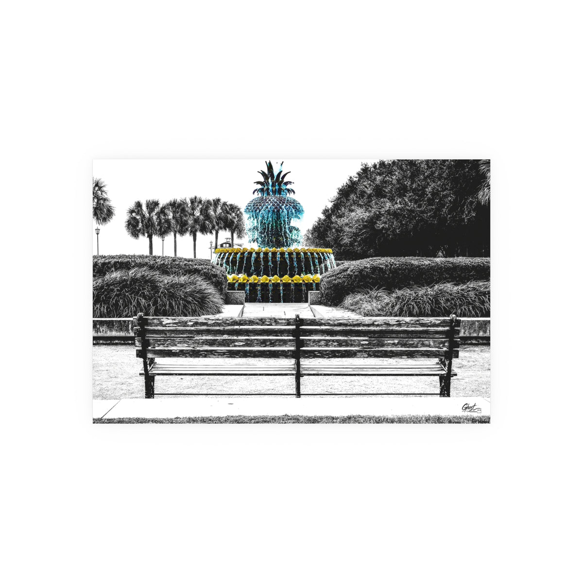 Charleston Series | The Pineapple of Peace