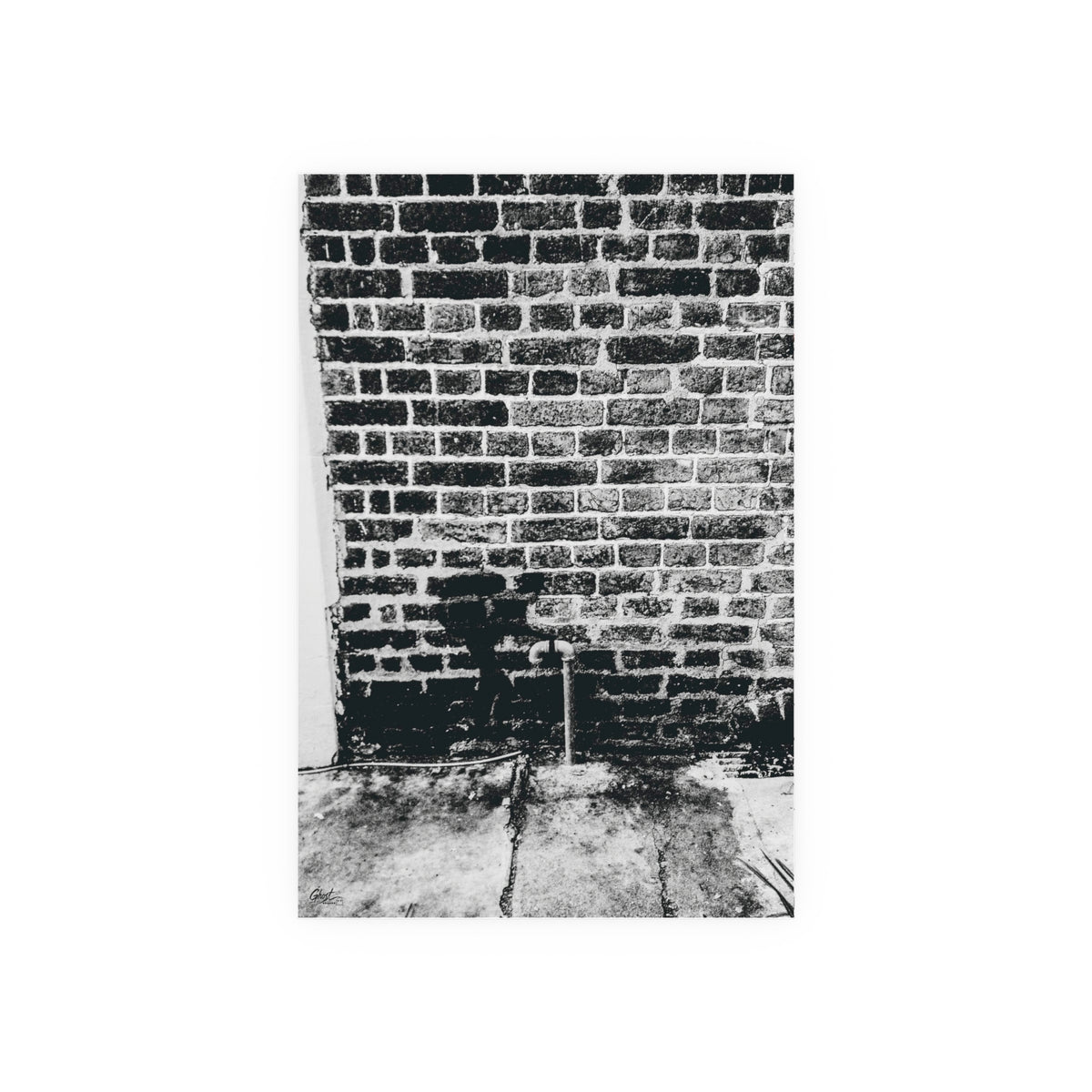Charleston Series | A Little Hiking in Charleston