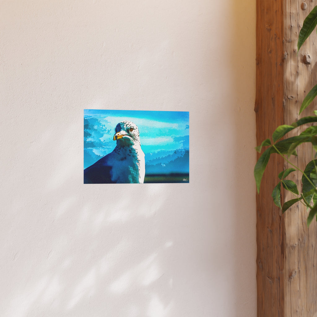Charleston Series | Carolina Seagull