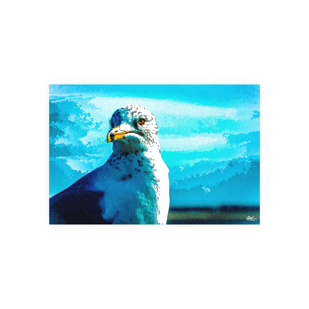 Charleston Series | Carolina Seagull