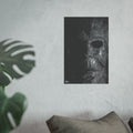 Horror Series | Stalk at Night