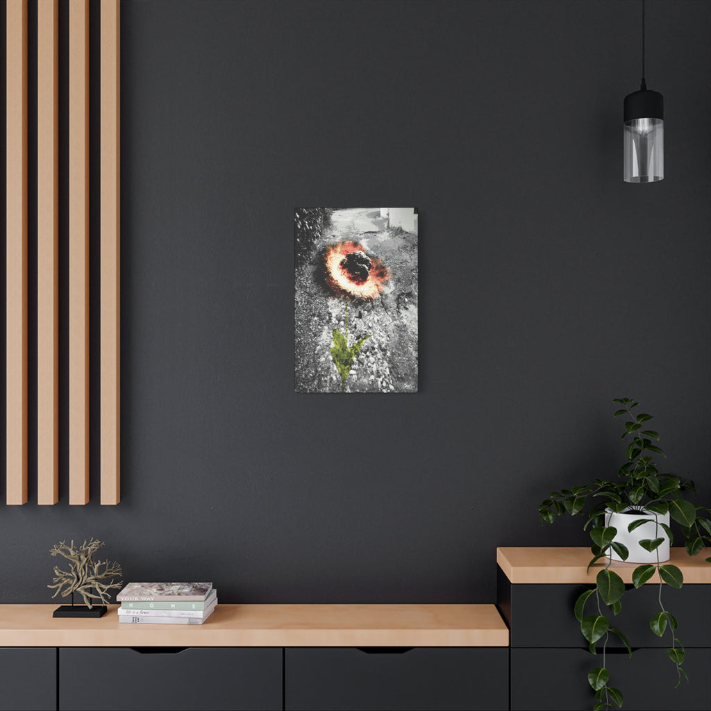 Meteor Flower small canvas on a charcoal wall by wood slats, meteor-like bloom of fiery color in broken asphalt