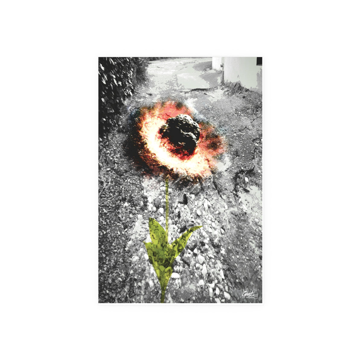 Charleston Series | Meteor Flower