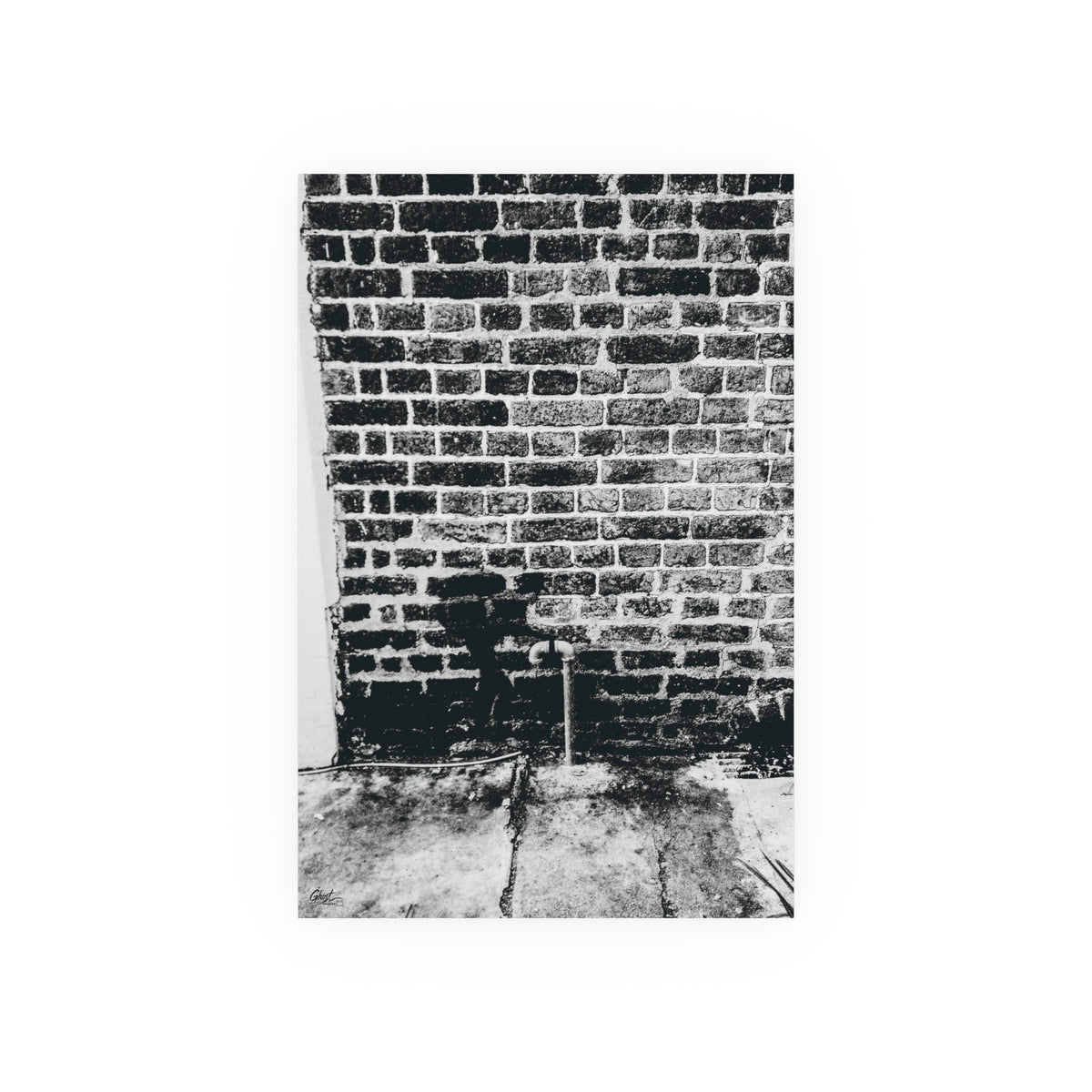Charleston Series | A Little Hiking in Charleston